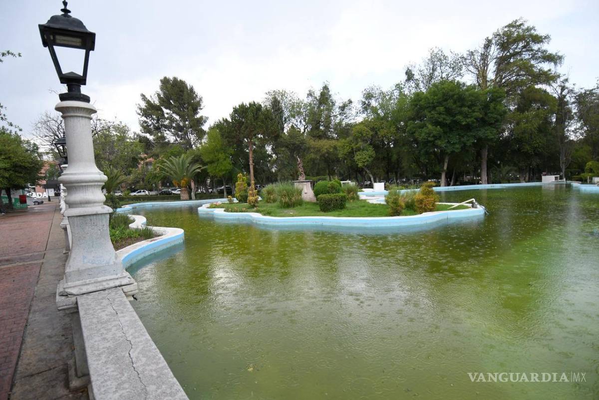 $!El Gobierno Municipal confirmó que el lago será sometido a mantenimiento.