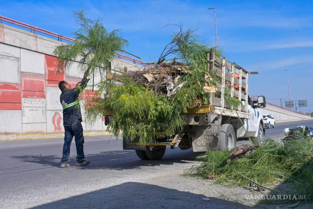 $!Se reforzó la limpieza en colonias como Los 90, Monclova 400 y Valle San Miguel.