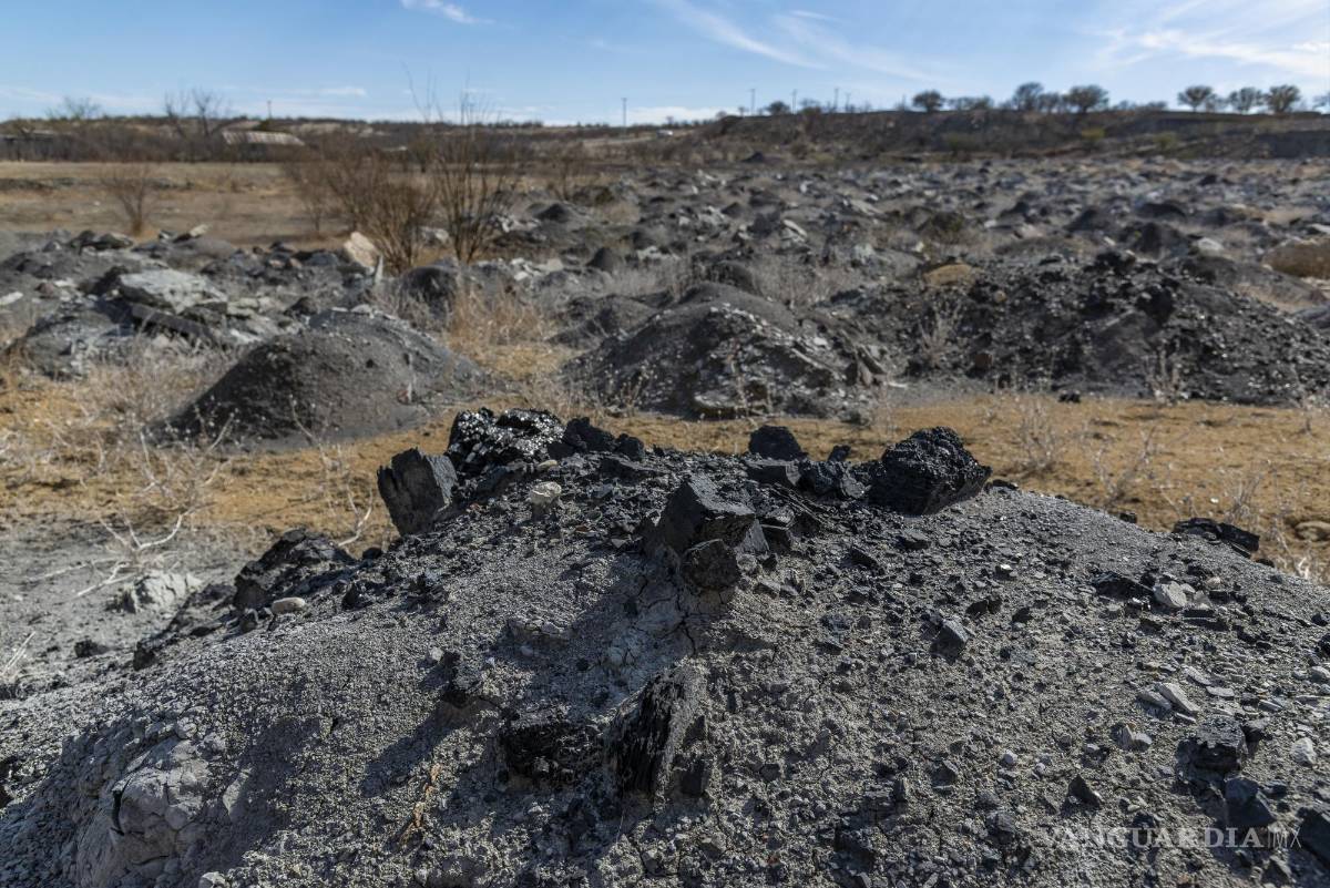 $!Para este año, la CFE asignó la compra de 3.18 millones de toneladas de carbón de la región, distribuidas en 52 contratos equivalentes a 3 mil 845 millones de pesos.