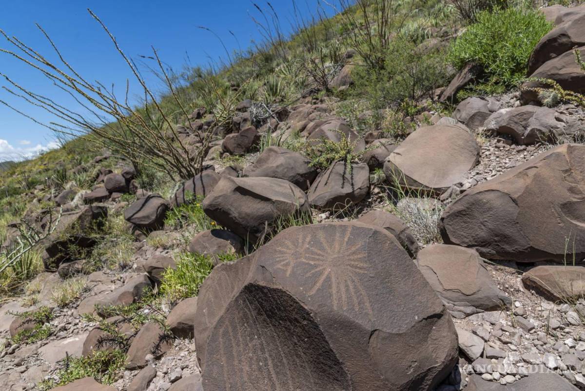 $!Lo que en principio era una iniciativa con miras al emprendedurismo local, terminó deshechada frente a la falta de apoyo municipal y federal.