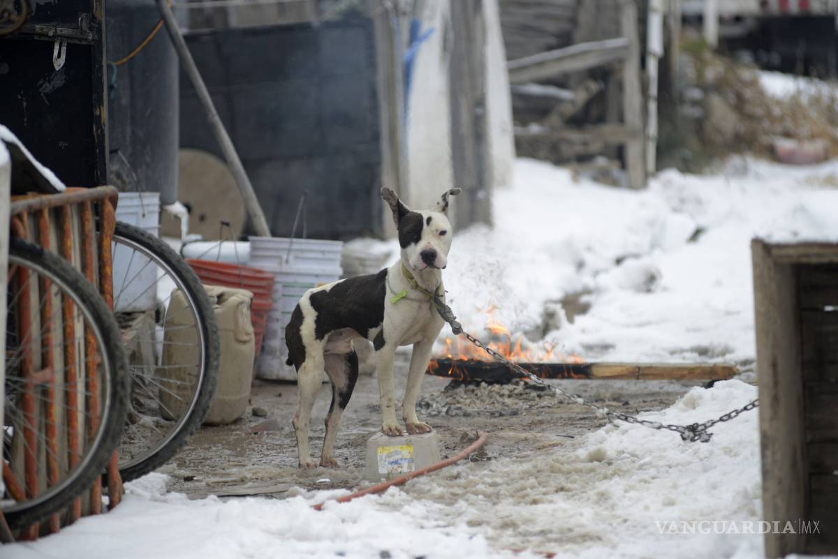 $!Aumenta con nevada calor humano en sector de tejabanes en Saltillo