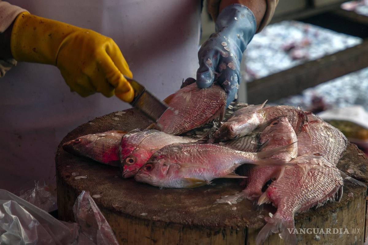 $!Vendedores de pescado ofrecen sus productos en el mercado de pescados y mariscos La Viga, en Ciudad de México.