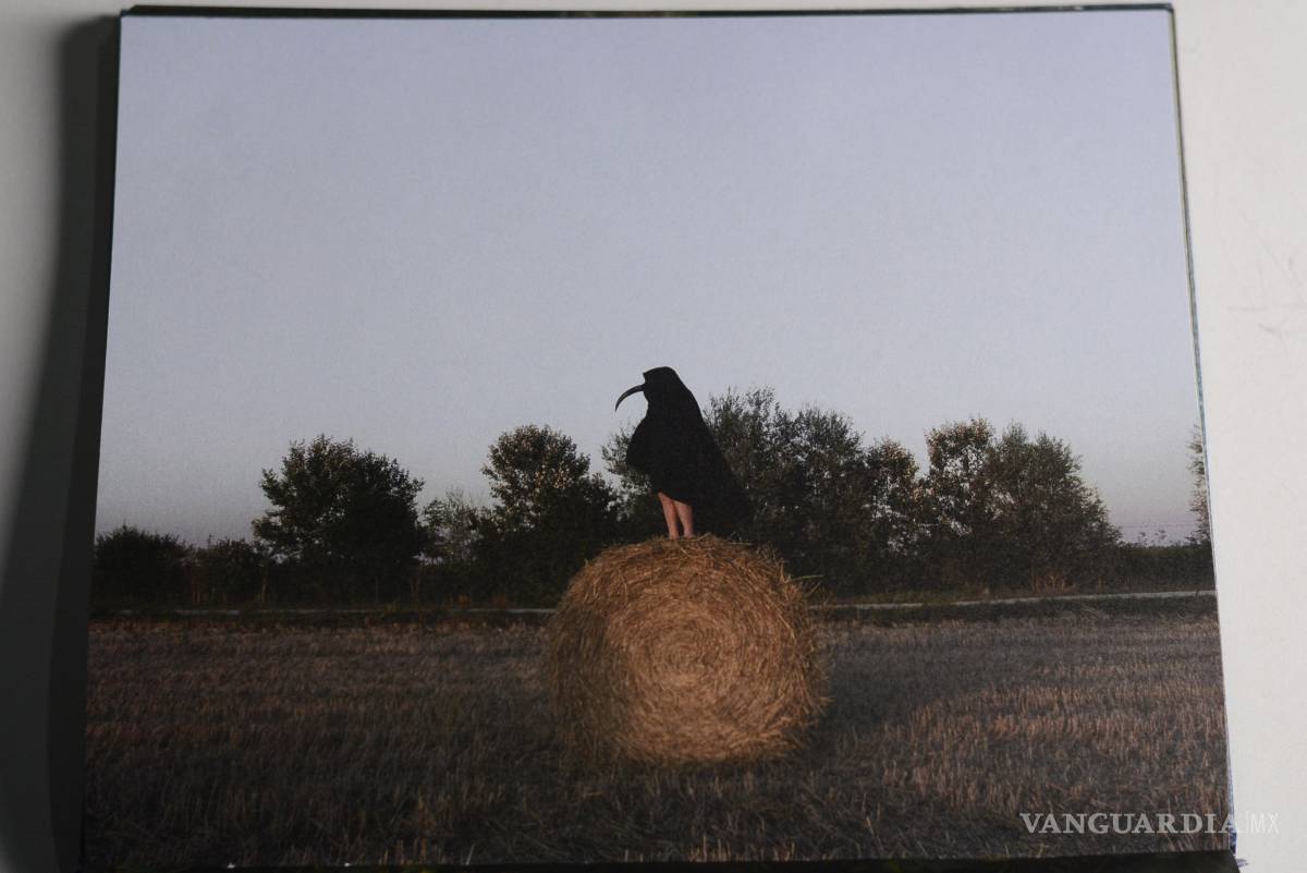 $!Libro impreso en Medio Pliego, entre los mejores del 2018