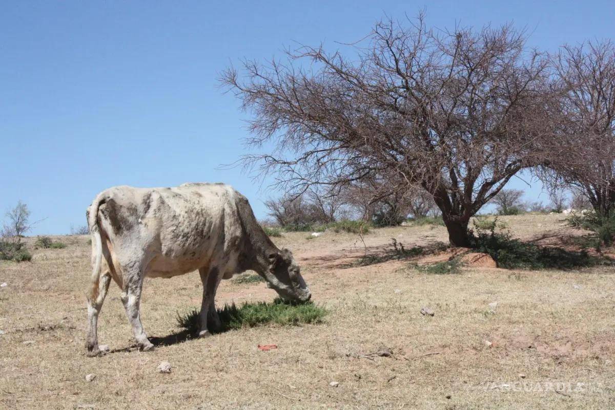 $!Especialistas advierten que depender de un solo cuerpo de agua expone a la región a riesgos mayores.