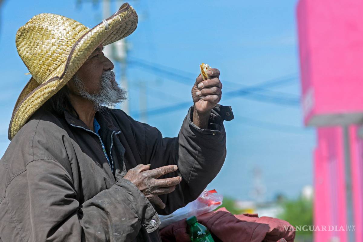 $!¿Son invisibles? (Fotogalería)