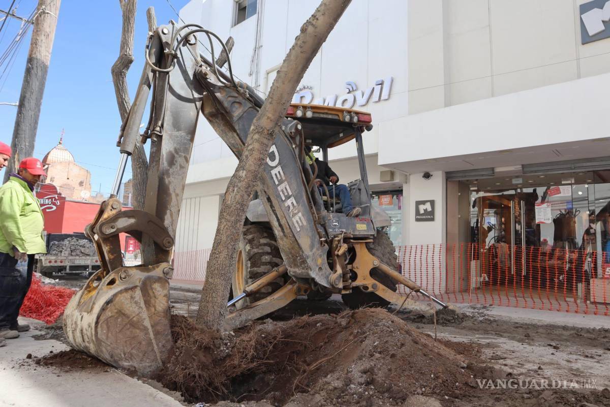 $!Activistas de la localidad han cuestionado el manejo en áreas verdes que han tenido las autoridades locales.