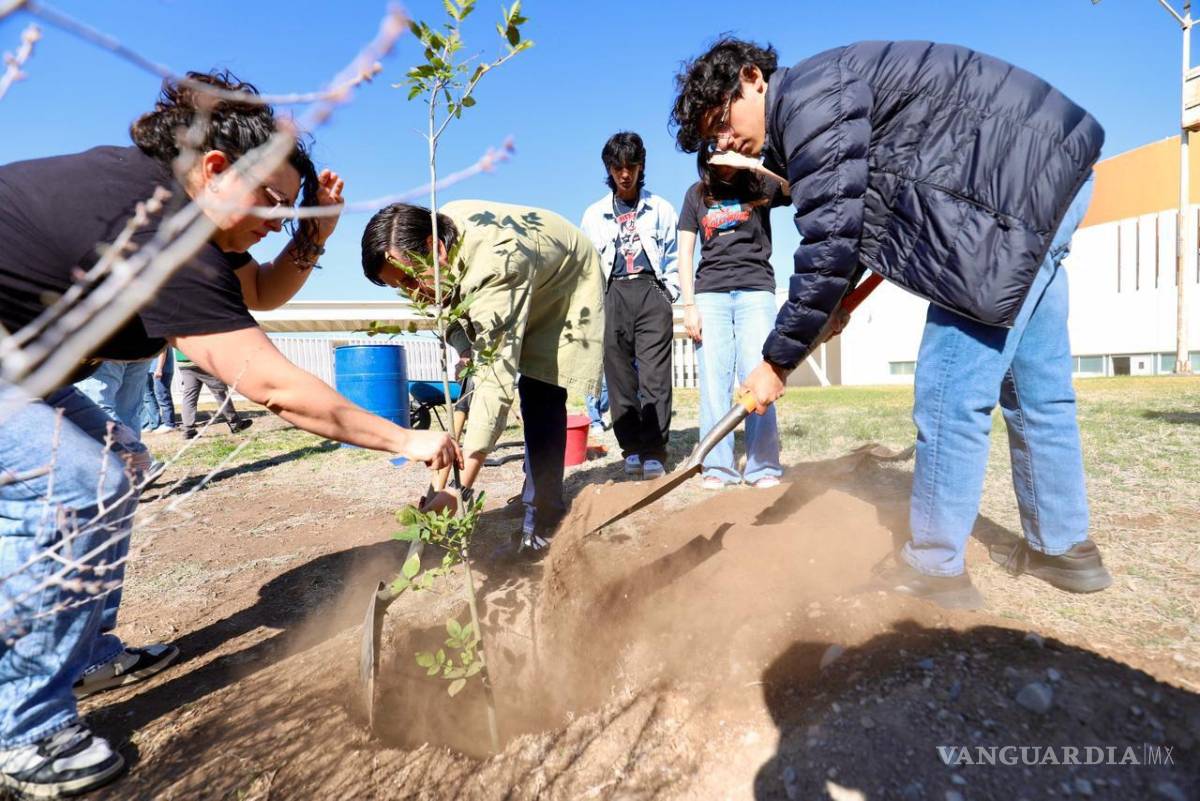 $!Alumnos de las facultades de Ingeniería y de Artes Plásticas participaron en las labores de reforestación.