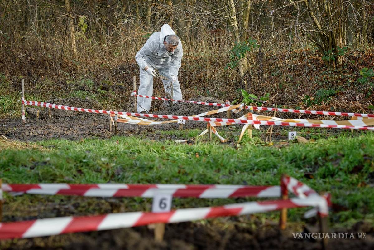 $!Los cadáveres de ovejas se entierran para experimentos.