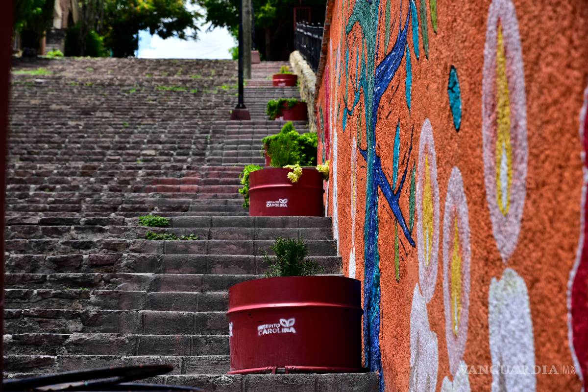 $!Un acierto los huertos urbanos en tradicional barrio de Saltillo