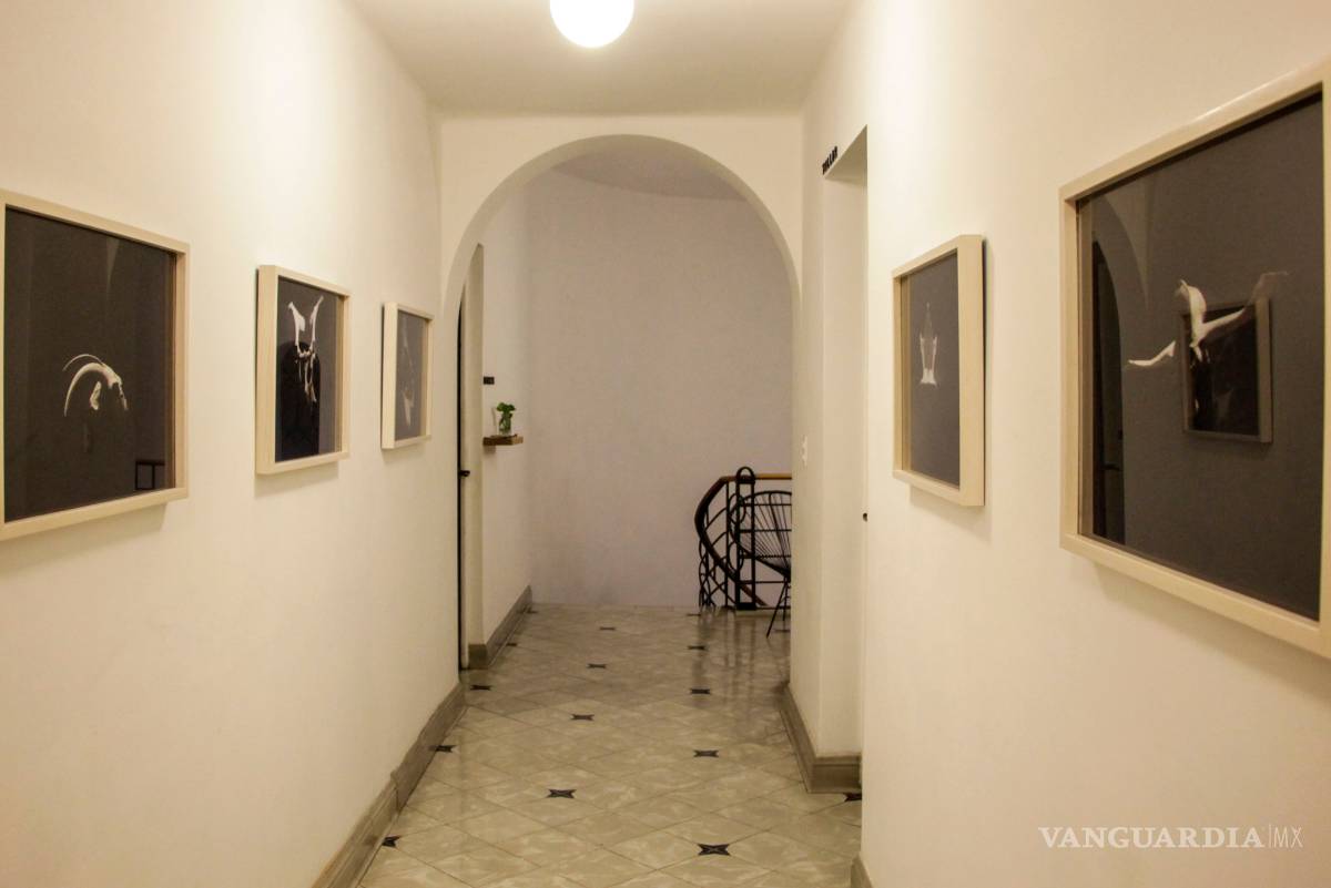 $!Diálogos entre el paisaje y su memoria