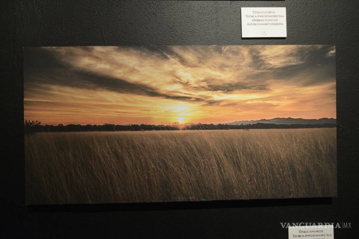 $!El arte duranguense presente en el Museo del Desierto