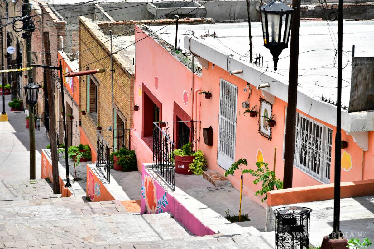 $!Un acierto los huertos urbanos en tradicional barrio de Saltillo