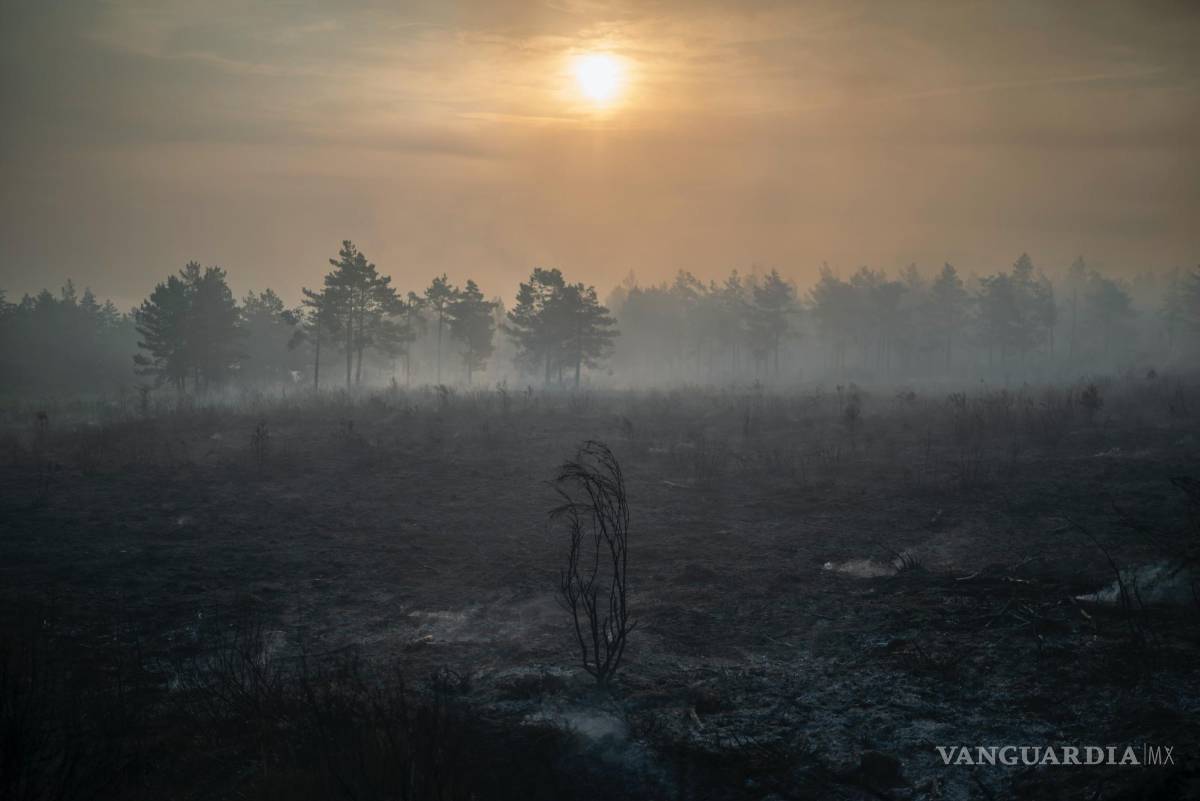 $!Vista tomada una zona calcinada por las llamas en el incendio forestal en la localidad orensana de Carballeda de Valdeorras en España.