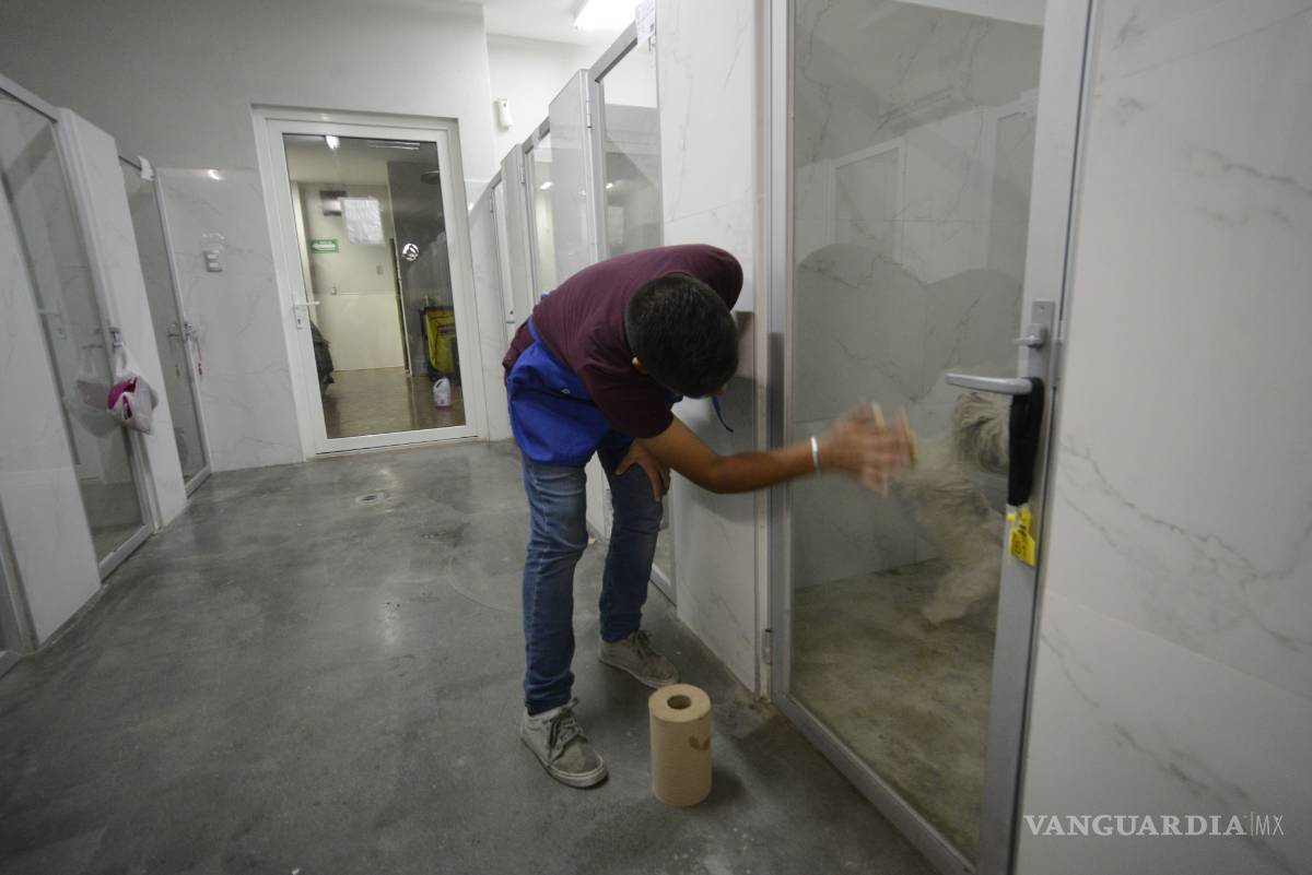 $!Saturado hotel para mascotas en Saltillo