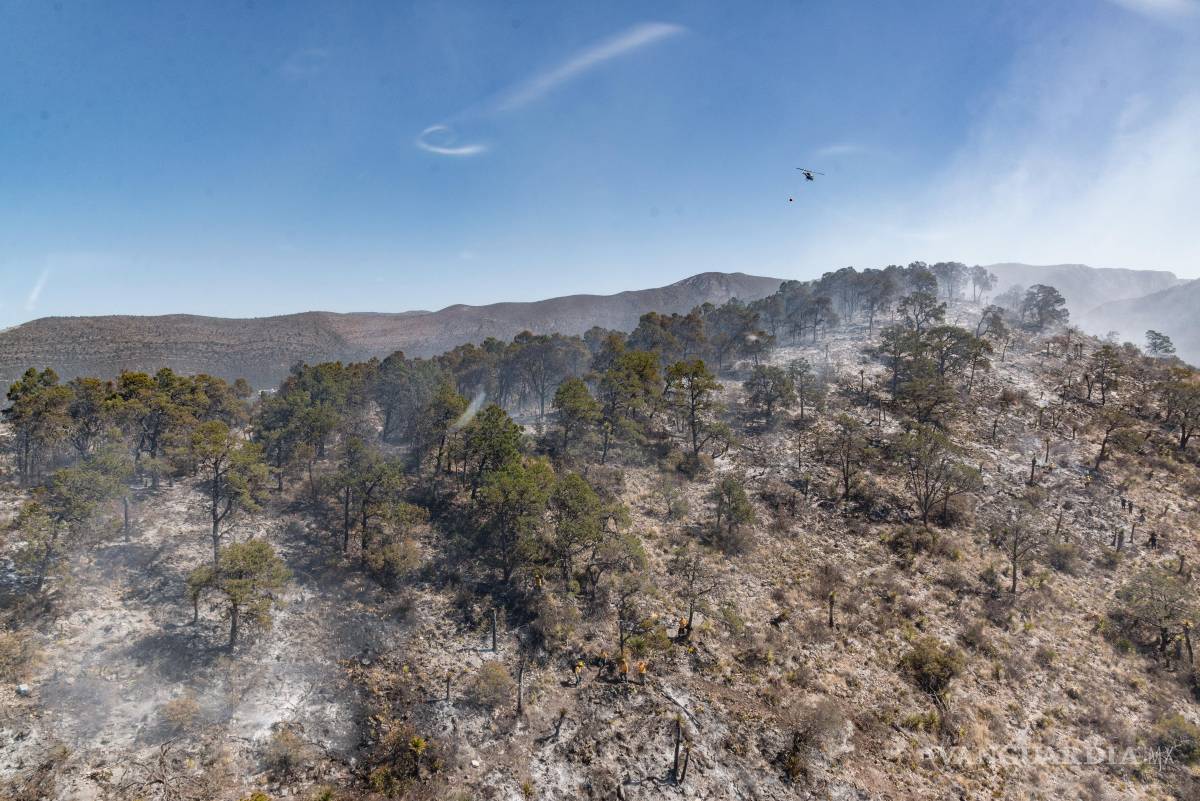 $!Los brigadistas continúan trabajando en la detección y sofocación de puntos calientes en la zona afectada por el incendio.