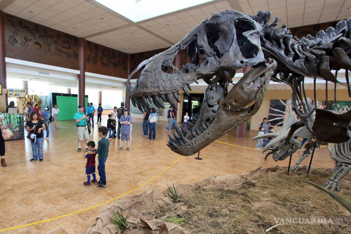 $!Se prepara una nueva zona interactiva para niños y jóvenes.