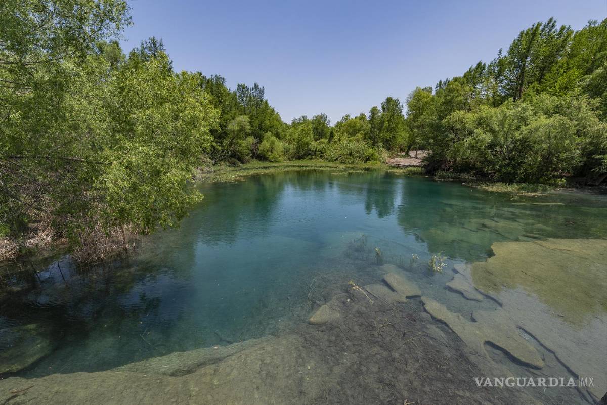 $!El área representa un hábitat crítico para numerosas especies de flora y fauna, sobre todo para aquellas que se encuentran amenazadas. Entre los mamíferos existen 10 especies catalogadas bajo la categoría de Sujeta a Protección Especial, Amenazada, en Peligro de Extinción y Probablemente Extinta.