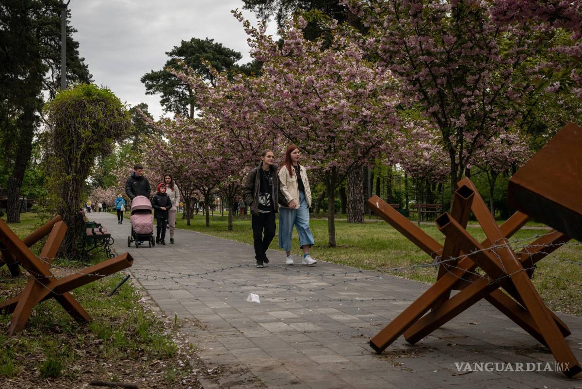 $!La gente camina por un camino bordeado de flores de cerezo y bloqueado por una barricada en un parque en Kiev, Ucrania