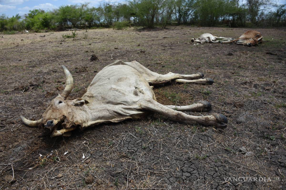 $!Este patrón de sequía relativa se prevé que se extienda hacia la primavera de 2027,