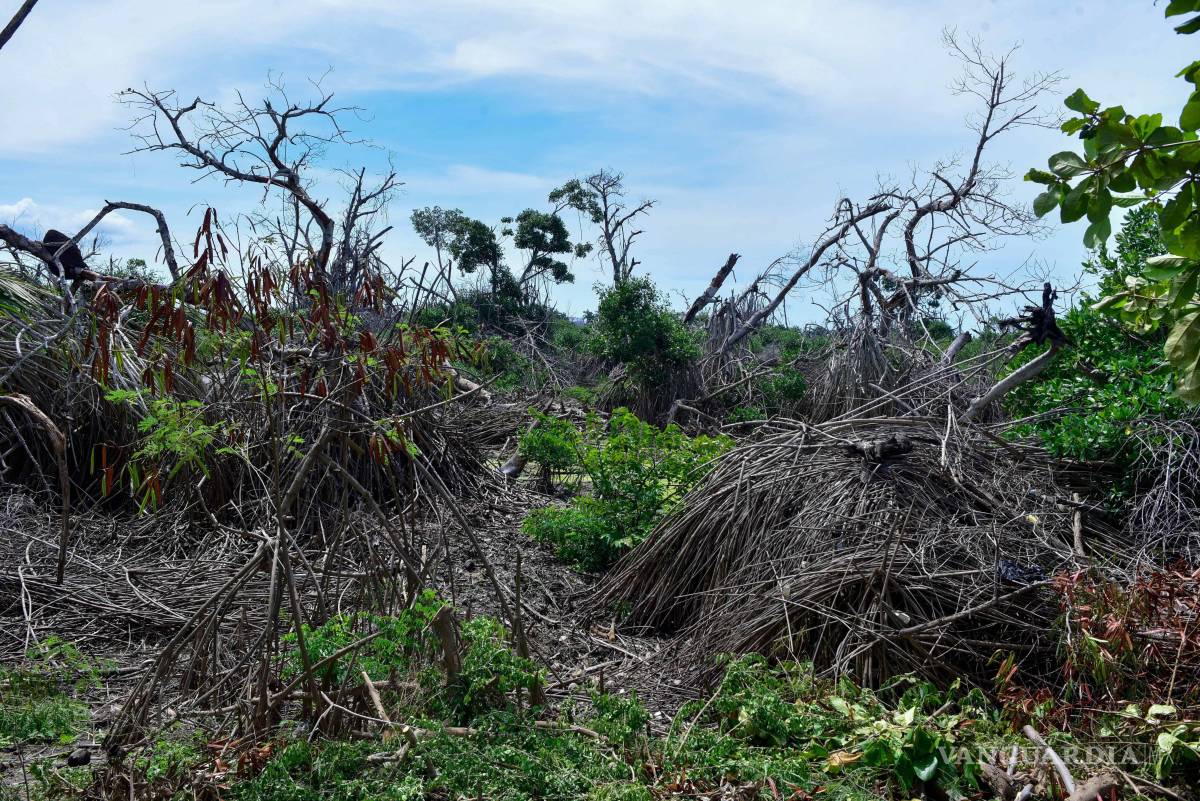 $!México se encuentra expuesto al impacto de ciclones tropicales por sus costas en el océano Pacífico y el Atlántico.