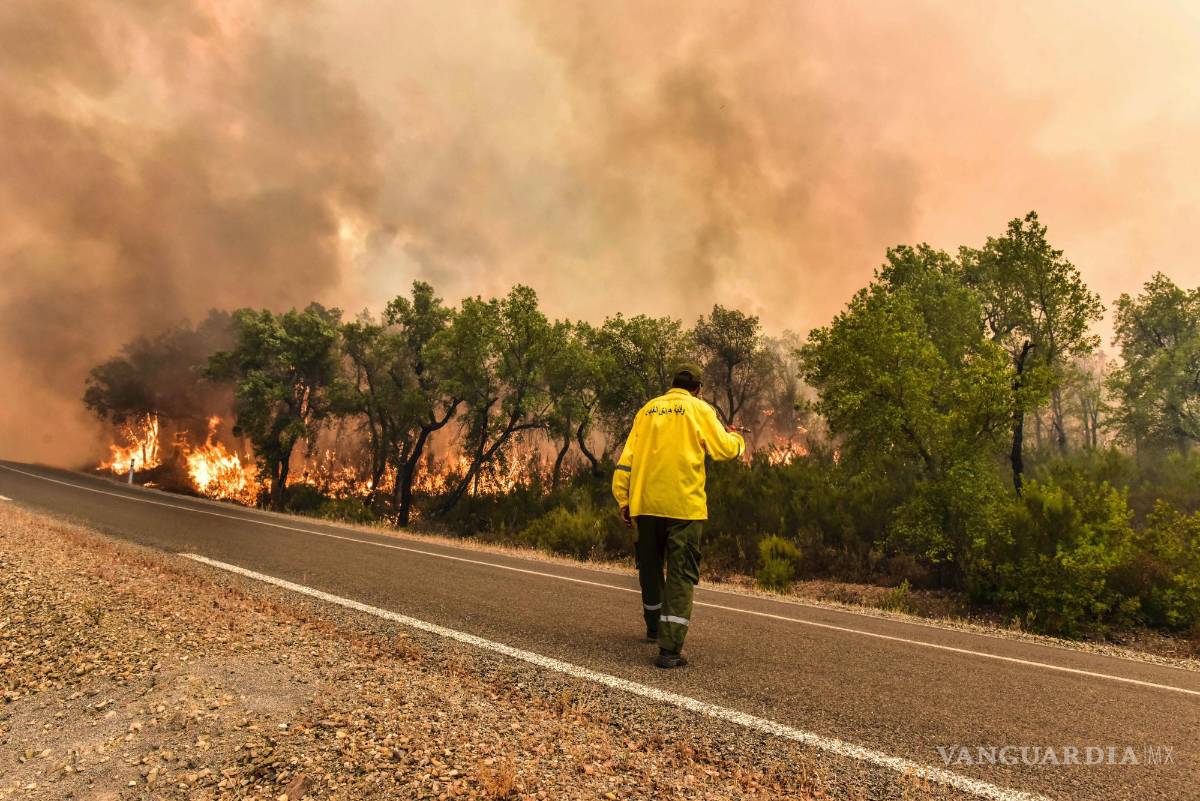 $!Un bombero intenta apagar un incendio forestal provocado por las temperaturas extremas en Larache, al norte de Marruecos.