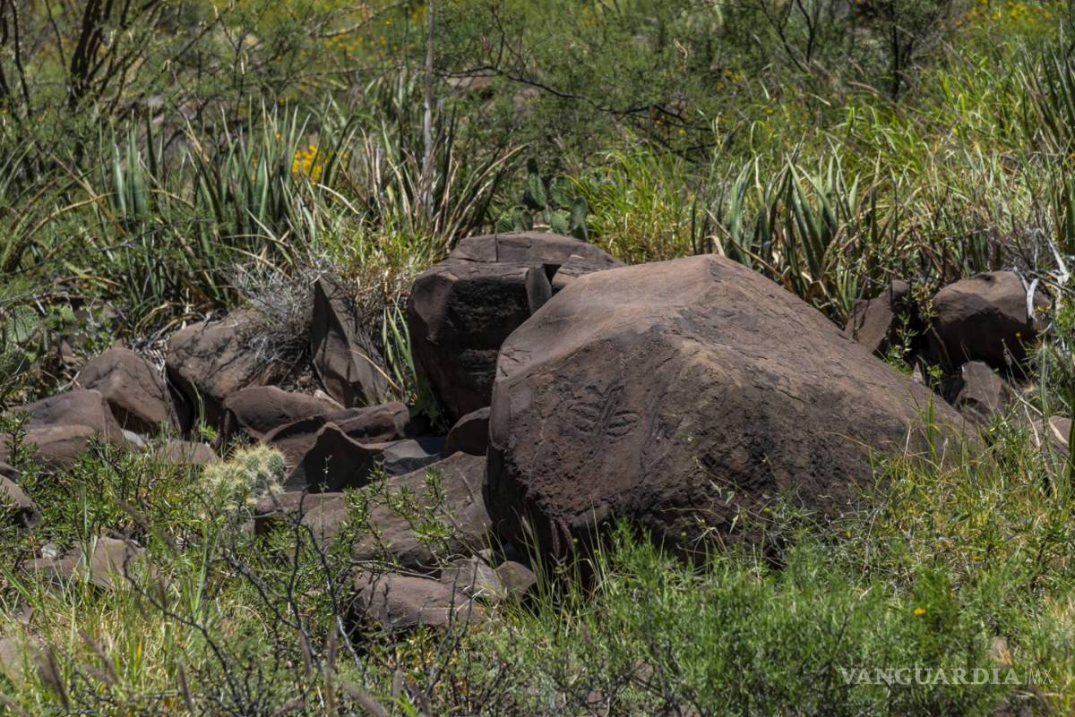 $!Narigua: petroglifos en el olvido