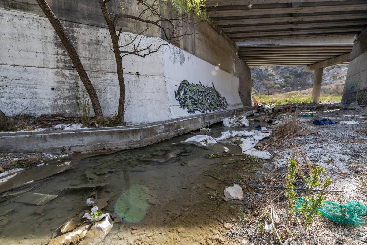 $!La Carpita, única en el mundo y endémica de estas tierras, ha sido devastada por la contaminación de los manantiales y arroyos, el desecamiento de los cuerpos de agua y la introducción especies invasoras.
