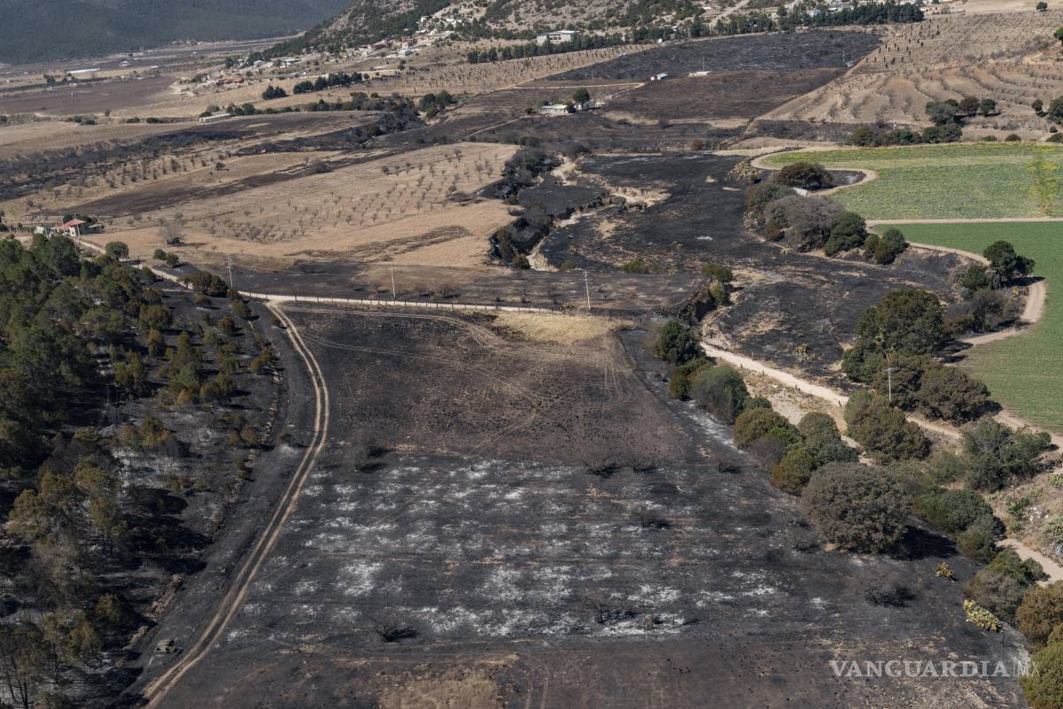 $!Contienen al 90% incendio en El Tunal, Arteaga; liquidan 85% del fuego