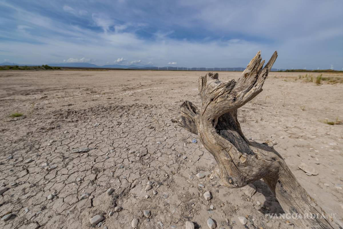 $!La sequía no sólo afectó al ecosistema, también a decenas de ganaderos y ejidatarios de Hipólito.