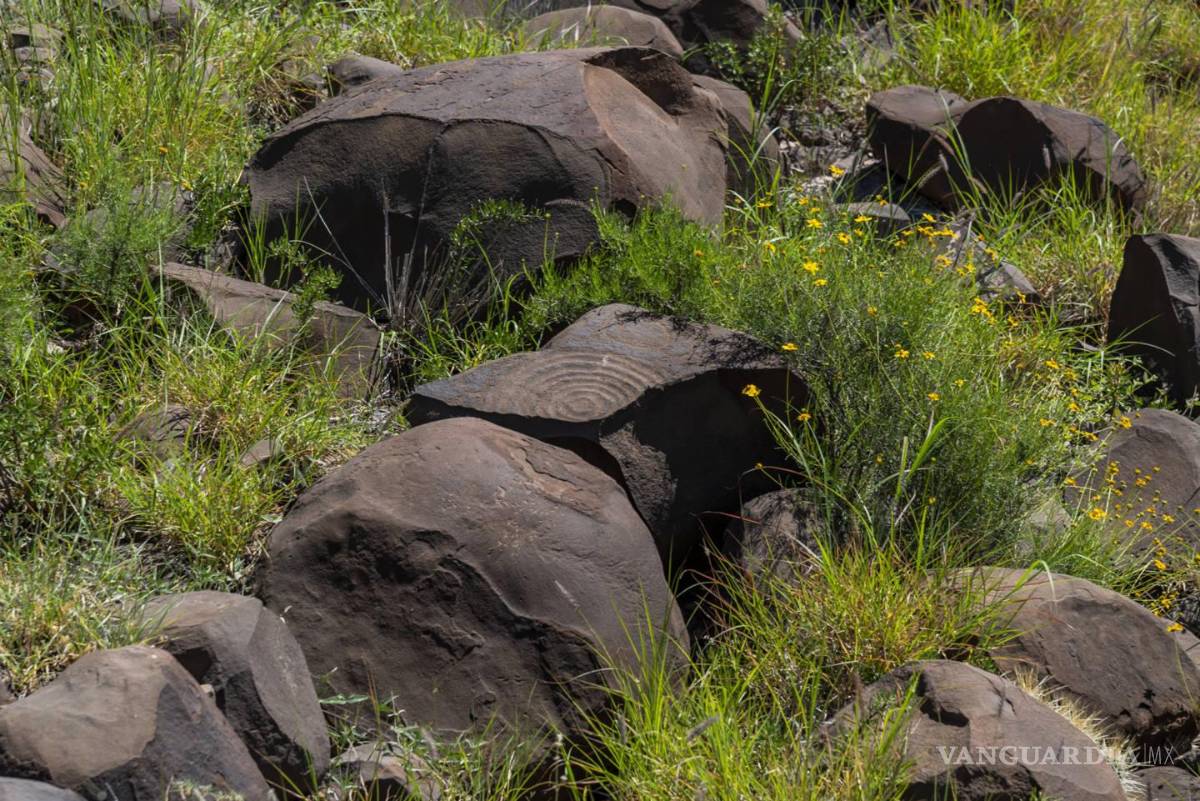 $!Narigua: petroglifos en el olvido