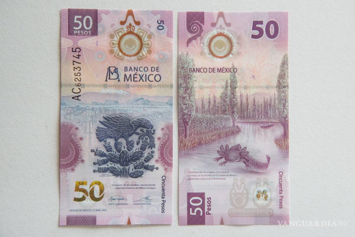 $!Tiene como sus principales características de diseño: imagen del ajolote; canales de Xochimilco, símbolo metztlii (luna); símbolo ollin (movimiento); imagen de la piedra del sol: imagen teocalli de la Guerra Sagrada; y murales de la Gran Tenochtitlán De Diego Rivera.