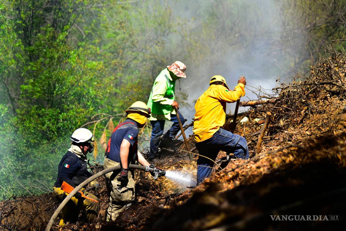 $!Controlan Bomberos incendio en arroyo de Ceballos, en Bosque Urbano de Saltillo