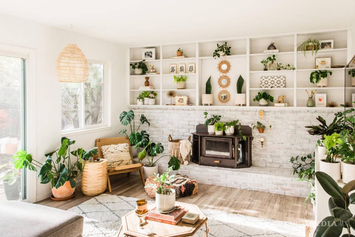 $!Las plantas son un “must” en los espacios que buscan conectar con la naturaleza.