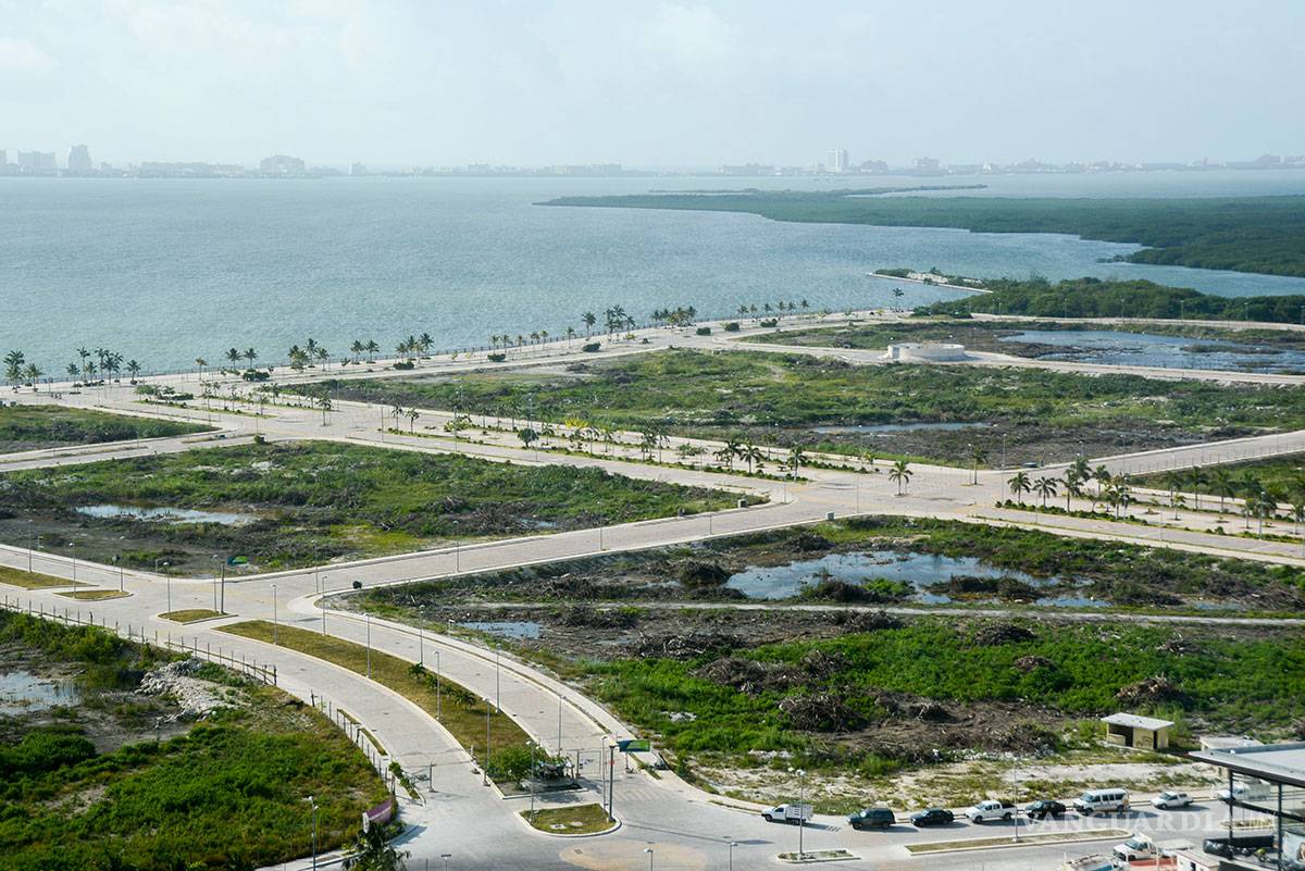 $!Ya pasó un año y la devastación en Tajamar sigue, las especies siguen en riesgo y nadie pagó el daño