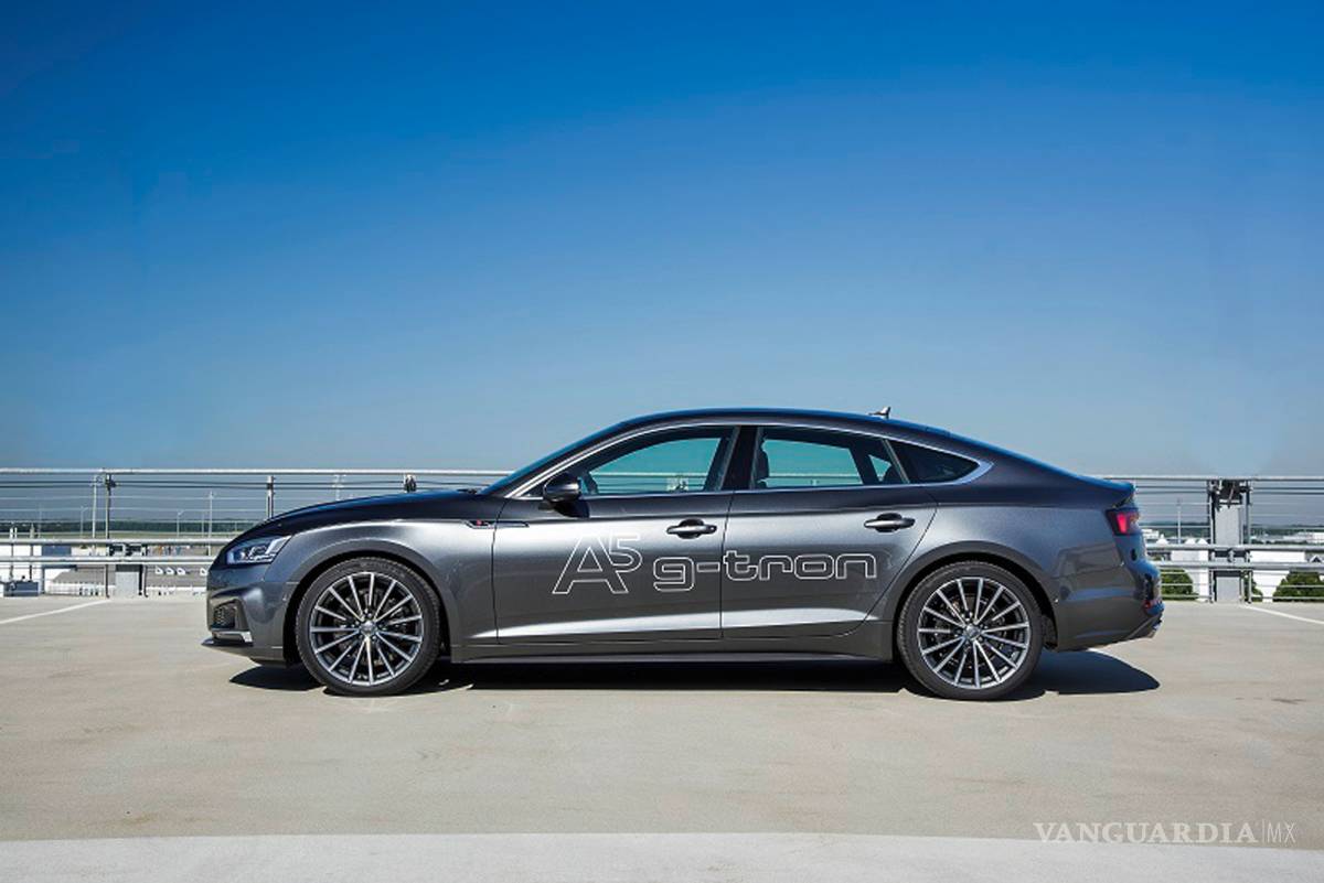 $!Audi A5 Sportback, no solo ahorra gasolina también cuenta con la etiqueta medioambiental ECO