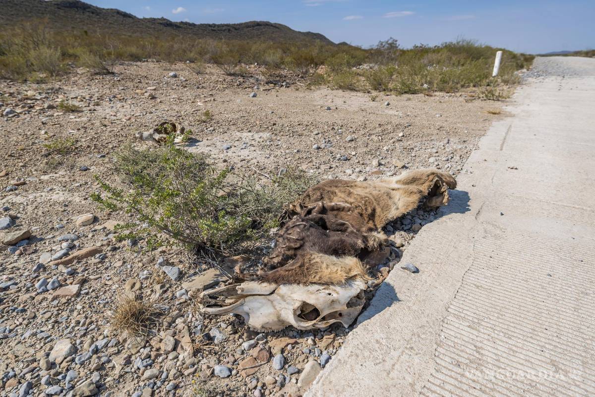 $!Campo, sequía y omisión, secan acuífero de Coahuila