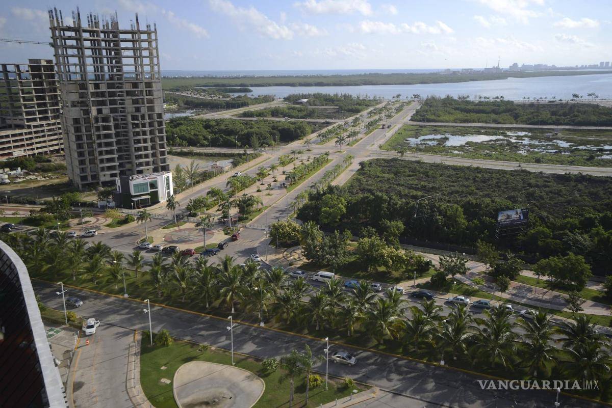 $!Tribunal ordena a Semarnat restaurar manglar de Tajamar