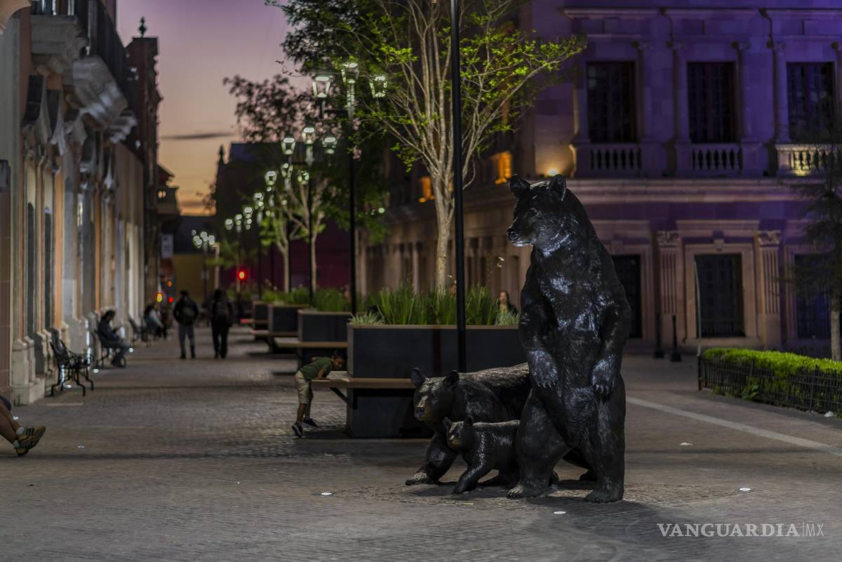 $!”Paseo Capital” no logra alcanzar el éxito de paseos peatonales que existen en otras ciudades del País.