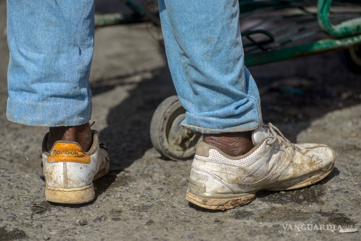 $!¿Son invisibles? (Fotogalería)