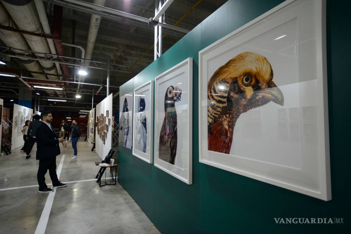 $!F-A-M-A; la plataforma para los coleccionistas en Monterrey