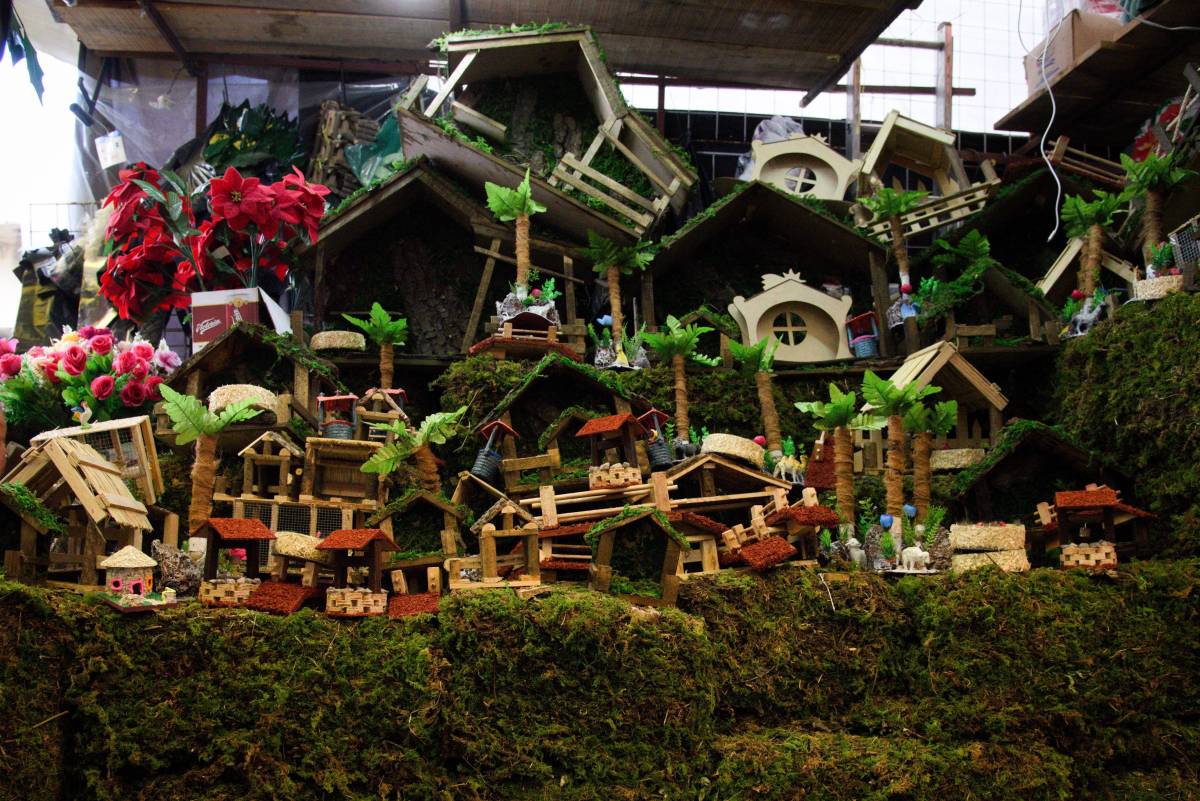 UNAM lanza alerta por el uso de musgo en Navidad