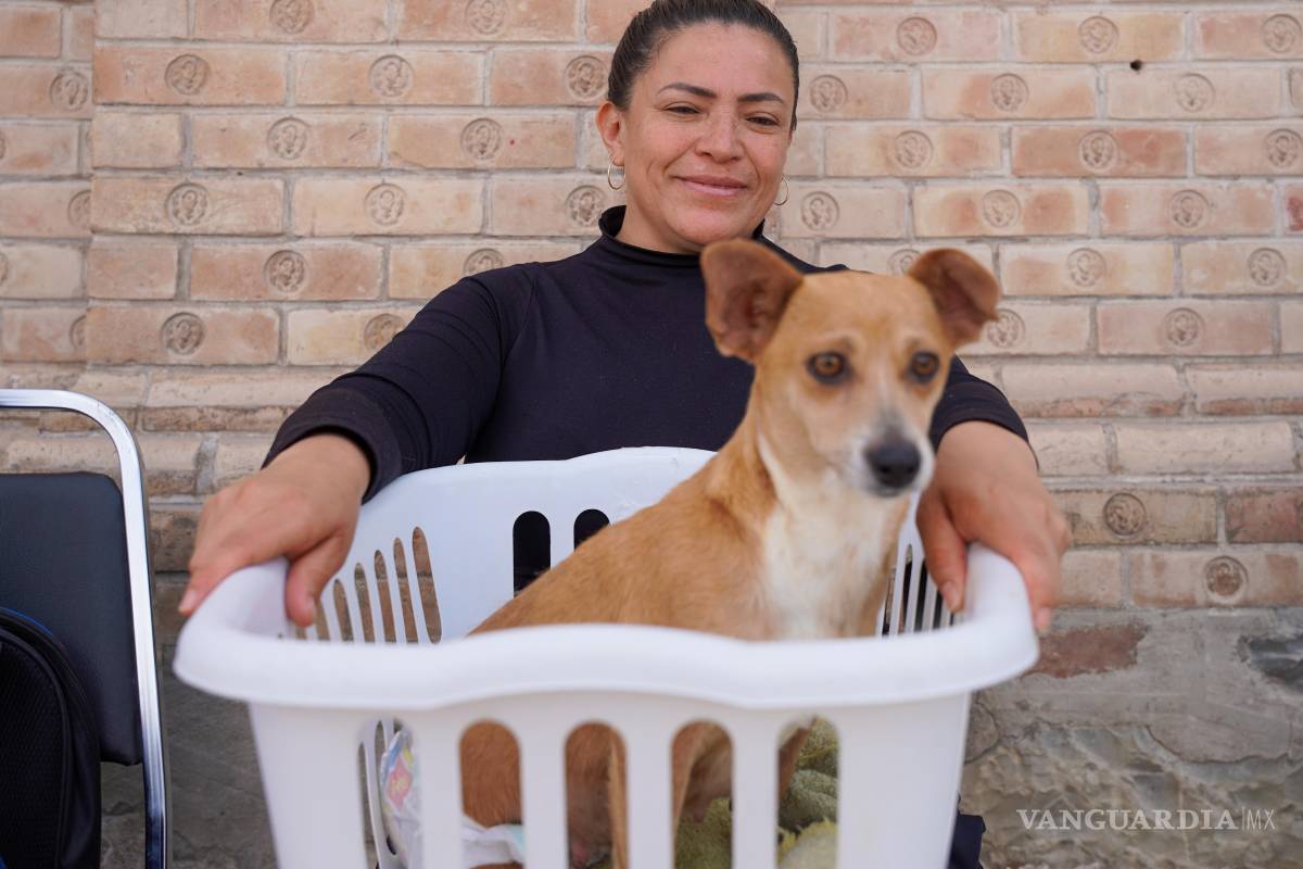 $!Se efectuaron 31 esterilizaciones y se aplicaron 33 vacunas antirrábicas, beneficiando a familias de distintos sectores.