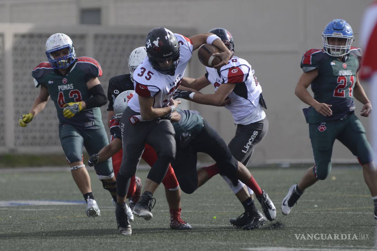 En Intermedia ya tenemos finalistas