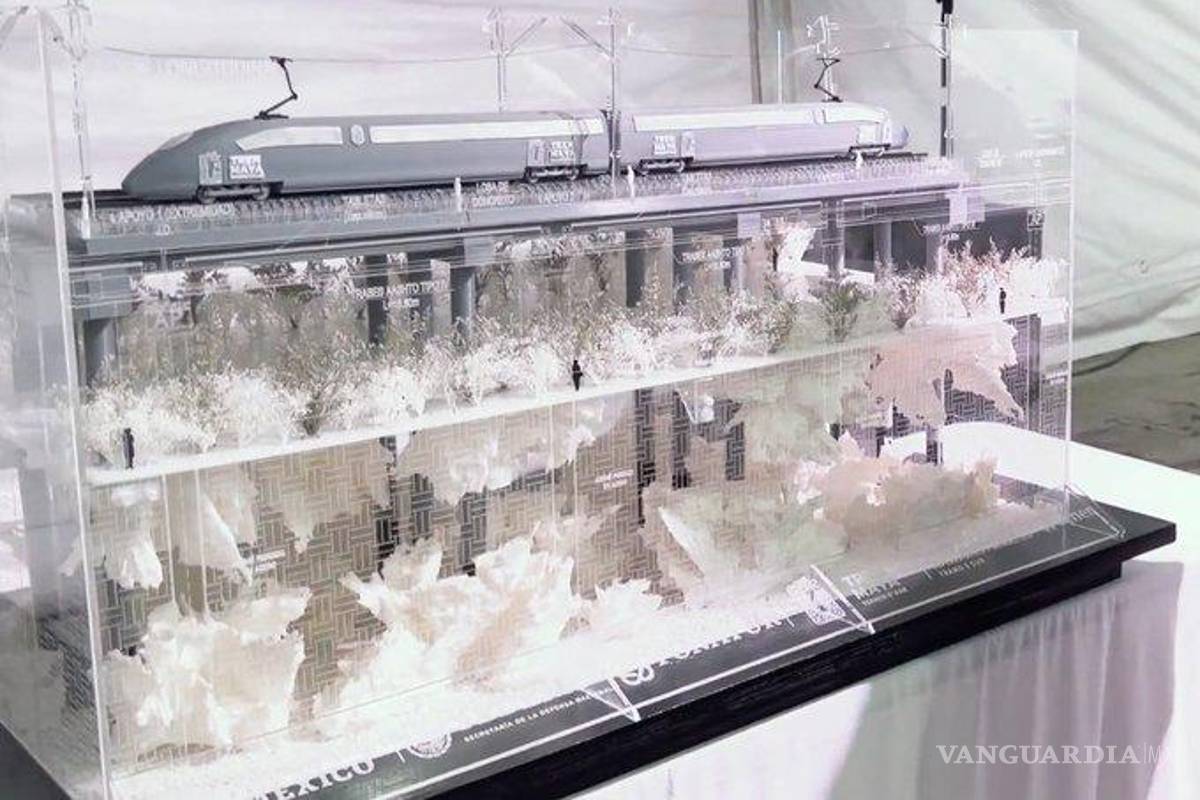 Pilotes para Tren Maya matarán los cenotes, advierten; ‘son de mínimo impacto’: AMLO