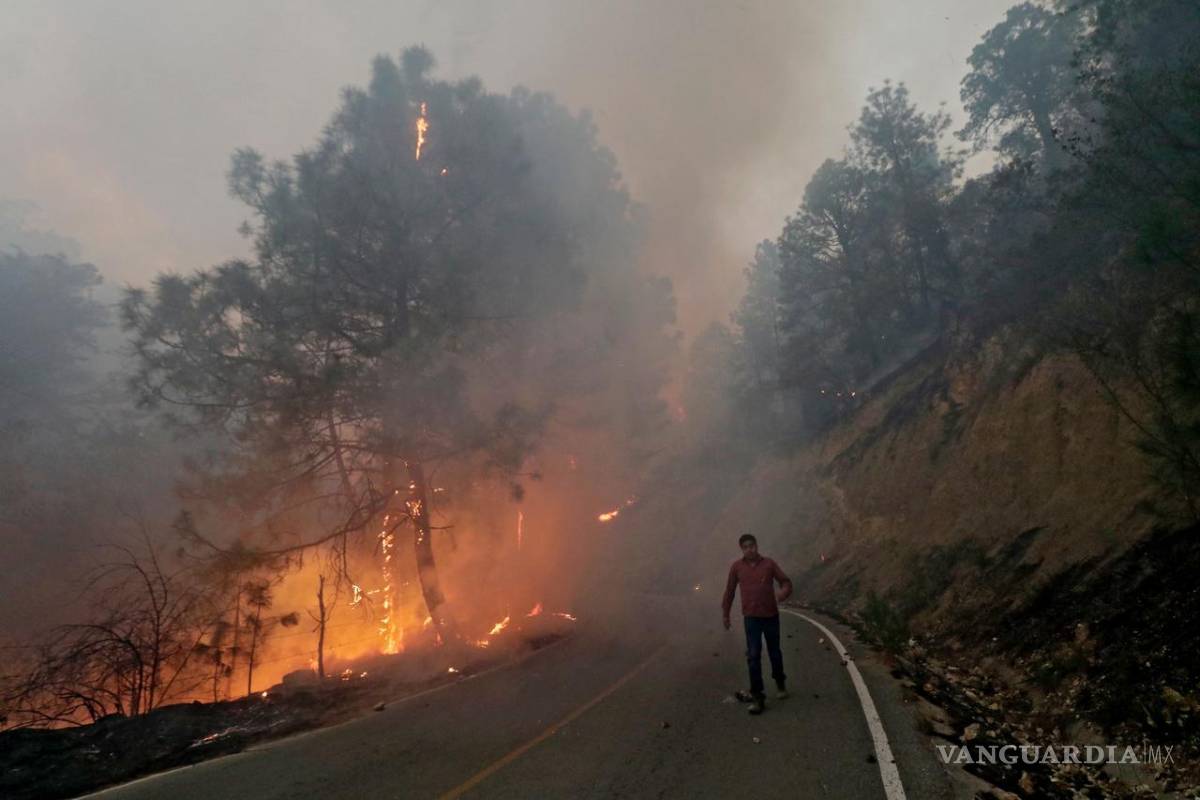 ¿Qué hacer para evitar incendios forestales?