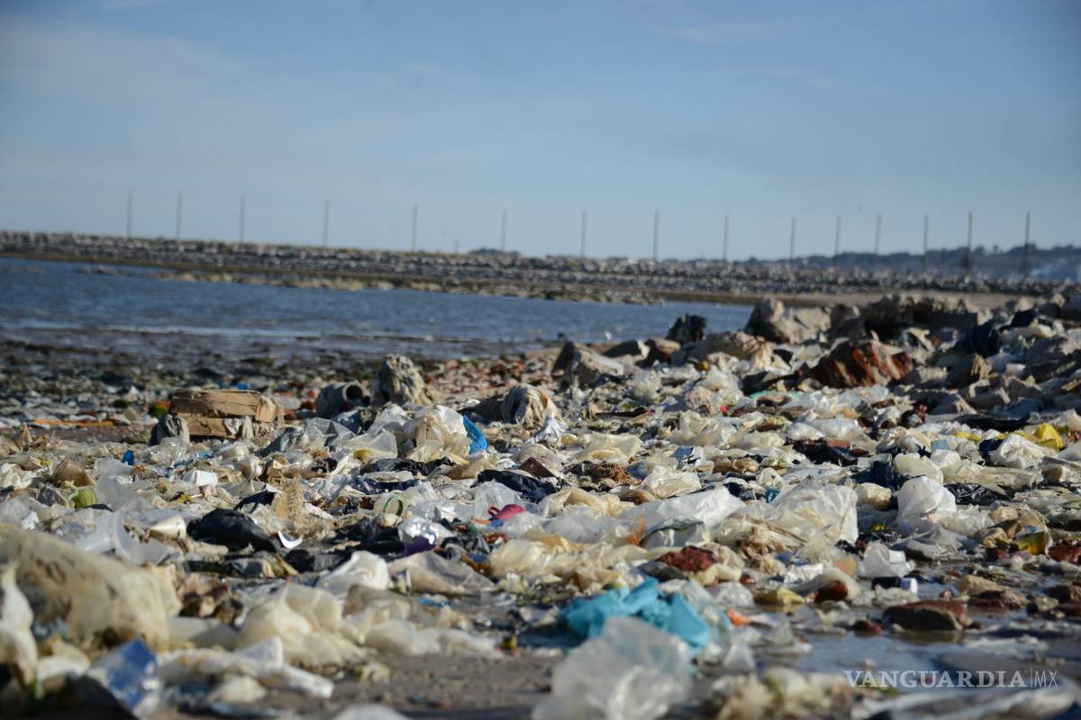 Usar bolsas de plástico y popotes está prohibido en estos estados de México