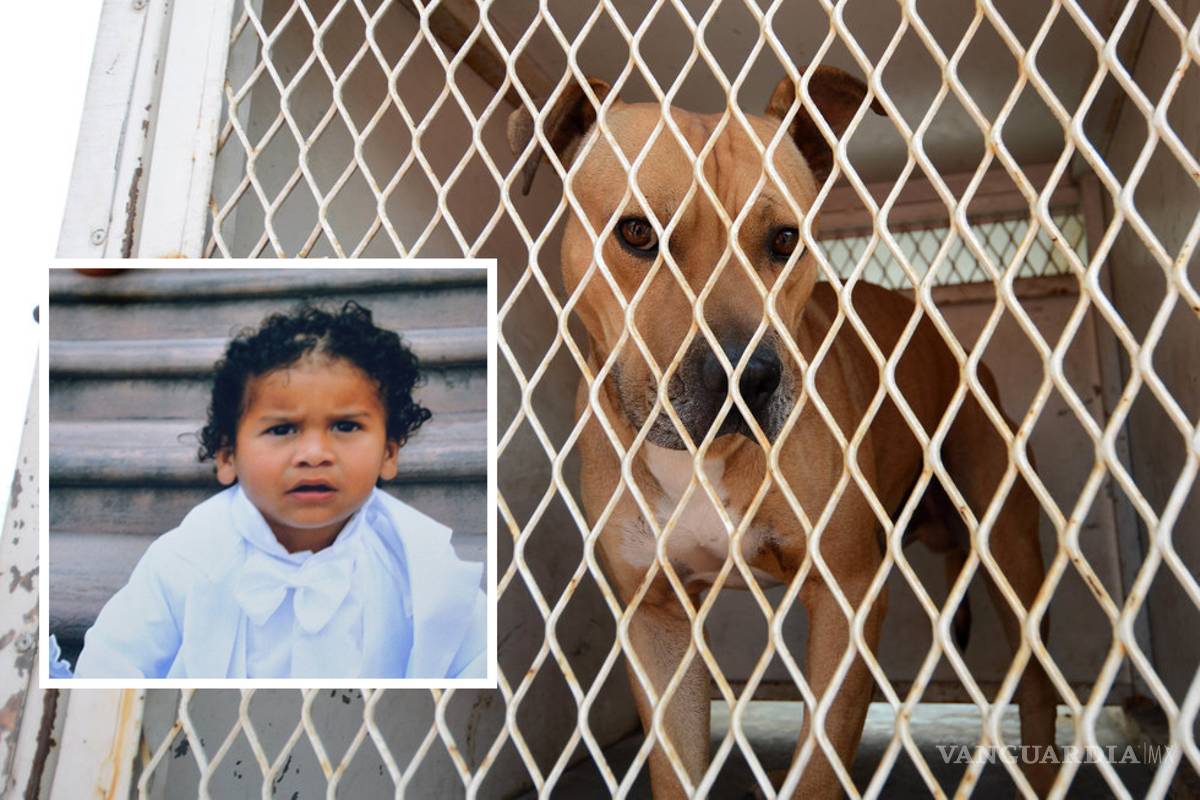 Es oficial muerte cerebral de Iker; su familia ha decidido no desconectarlo