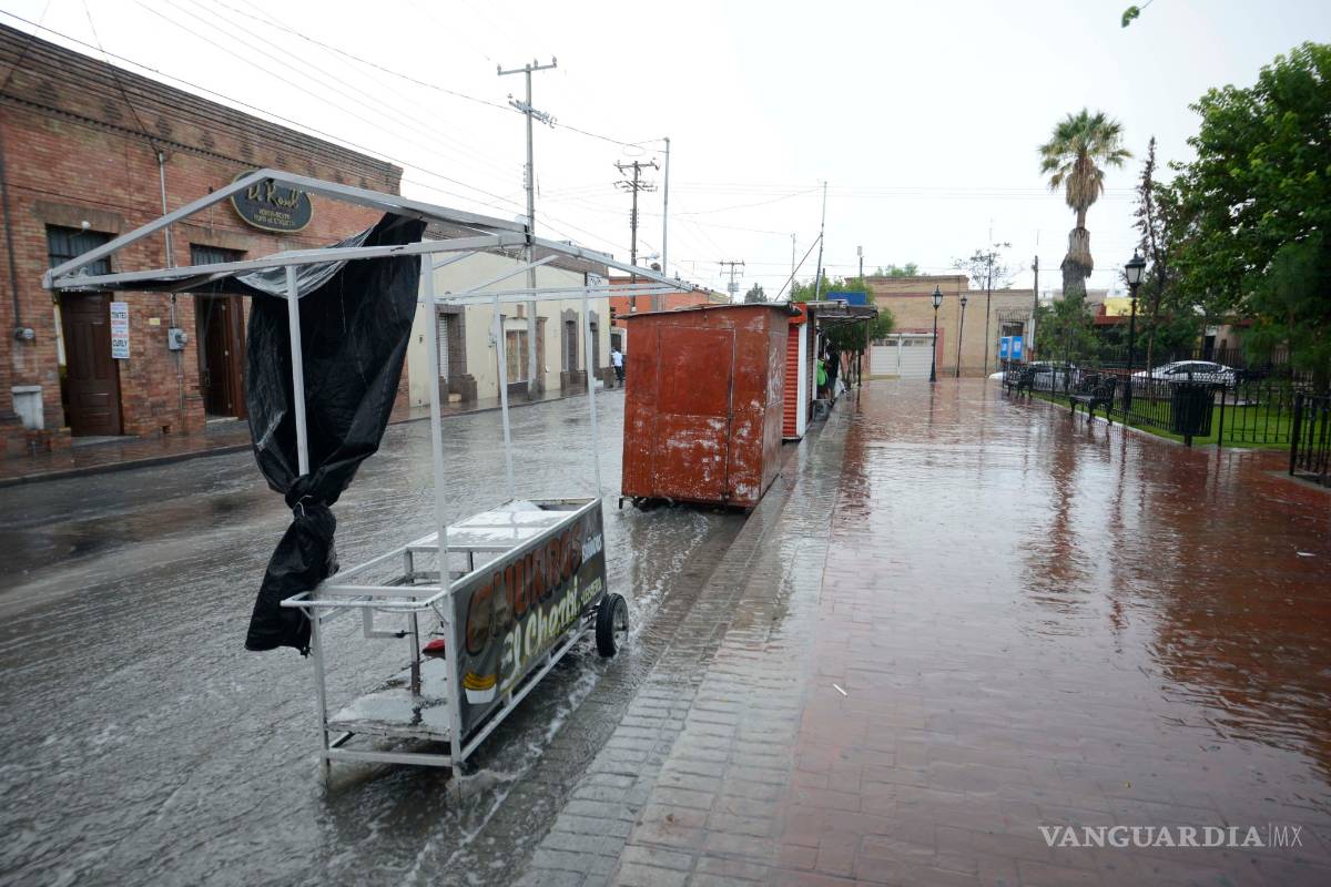 Proyectan nuevo mobiliario para puestos semifijos en Saltillo