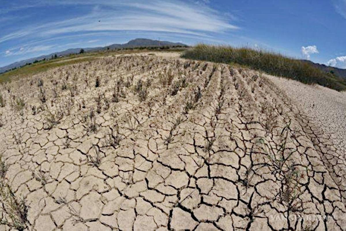 Evidencia la sequía en México fallas en el sistema eléctrico