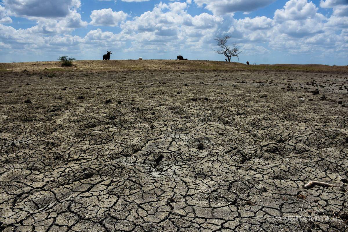 Rompen récord sequía y calor: 2023, el más seco y cálido del que se tenga registro en México